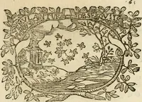 Picture 146 of 428 from Imprese dell' Offitioso, accademico intronato (1628), leaf 216