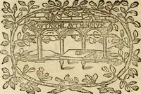 Picture 147 of 428 from Imprese dell' Offitioso, accademico intronato (1628), leaf 217