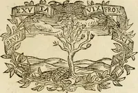 An illustration from Imprese dell' Offitioso, accademico intronato (1628)