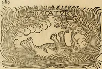 Picture 161 of 428 from Imprese dell' Offitioso, accademico intronato (1628), leaf 231
