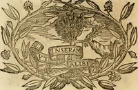 Picture 165 of 428 from Imprese dell' Offitioso, accademico intronato (1628), leaf 235