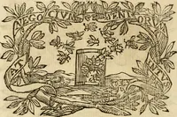 Picture 167 of 428 from Imprese dell' Offitioso, accademico intronato (1628), leaf 237