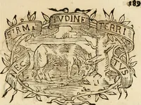 Picture 170 of 428 from Imprese dell' Offitioso, accademico intronato (1628), leaf 240