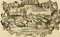 Picture 173 of 428 from Imprese dell' Offitioso, accademico intronato (1628), leaf 243