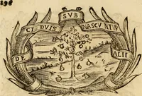Picture 177 of 428 from Imprese dell' Offitioso, accademico intronato (1628), leaf 247