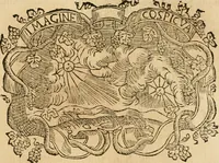 Picture 184 of 428 from Imprese dell' Offitioso, accademico intronato (1628), leaf 254
