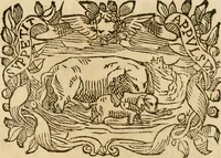 Picture 189 of 428 from Imprese dell' Offitioso, accademico intronato (1628), leaf 278