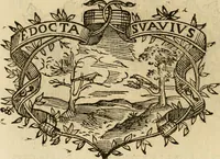 Picture 206 of 428 from Imprese dell' Offitioso, accademico intronato (1628), leaf 295