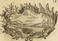 Picture 211 of 428 from Imprese dell' Offitioso, accademico intronato (1628), leaf 300