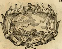 Picture 214 of 428 from Imprese dell' Offitioso, accademico intronato (1628), leaf 304