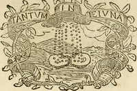 Picture 225 of 428 from Imprese dell' Offitioso, accademico intronato (1628), leaf 316