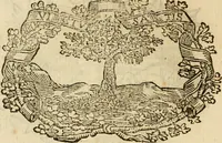 An illustration from Imprese dell' Offitioso, accademico intronato (1628)