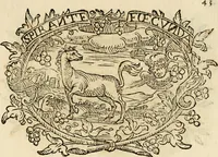 Picture 235 of 428 from Imprese dell' Offitioso, accademico intronato (1628), leaf 326