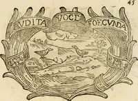 Picture 237 of 428 from Imprese dell' Offitioso, accademico intronato (1628), leaf 328