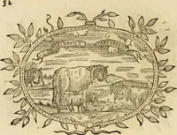 An illustration from Imprese dell' Offitioso, accademico intronato (1628)