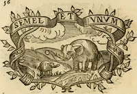 Picture 248 of 428 from Imprese dell' Offitioso, accademico intronato (1628), leaf 339