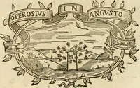 Picture 249 of 428 from Imprese dell' Offitioso, accademico intronato (1628), leaf 340