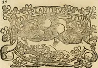 Picture 254 of 428 from Imprese dell' Offitioso, accademico intronato (1628), leaf 345