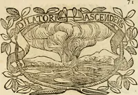 Picture 263 of 428 from Imprese dell' Offitioso, accademico intronato (1628), leaf 354