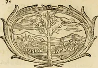 Picture 265 of 428 from Imprese dell' Offitioso, accademico intronato (1628), leaf 357