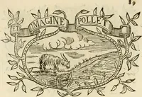 Picture 272 of 428 from Imprese dell' Offitioso, accademico intronato (1628), leaf 364