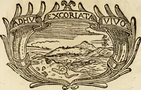 Picture 284 of 428 from Imprese dell' Offitioso, accademico intronato (1628), leaf 376