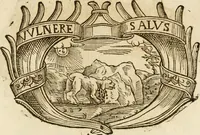 Picture 302 of 428 from Imprese dell' Offitioso, accademico intronato (1628), leaf 394