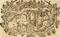 Picture 317 of 428 from Imprese dell' Offitioso, accademico intronato (1628), leaf 409