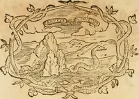 Picture 323 of 428 from Imprese dell' Offitioso, accademico intronato (1628), leaf 415