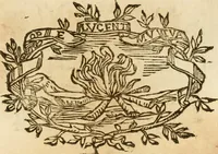 Picture 324 of 428 from Imprese dell' Offitioso, accademico intronato (1628), leaf 416