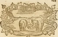 Picture 326 of 428 from Imprese dell' Offitioso, accademico intronato (1628), leaf 418