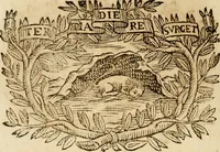 Picture 348 of 428 from Imprese dell' Offitioso, accademico intronato (1628), leaf 441