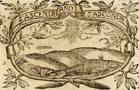 Picture 349 of 428 from Imprese dell' Offitioso, accademico intronato (1628), leaf 442