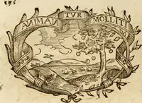 Picture 358 of 428 from Imprese dell' Offitioso, accademico intronato (1628), leaf 451