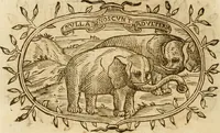 An illustration from Imprese dell' Offitioso, accademico intronato (1628)