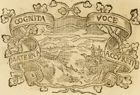 Picture 376 of 428 from Imprese dell' Offitioso, accademico intronato (1628), leaf 469