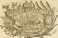 Picture 390 of 428 from Imprese dell' Offitioso, accademico intronato (1628), leaf 484