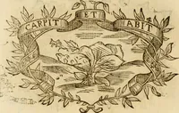 Picture 392 of 428 from Imprese dell' Offitioso, accademico intronato (1628), leaf 487