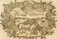 Picture 400 of 428 from Imprese dell' Offitioso, accademico intronato (1628), leaf 495