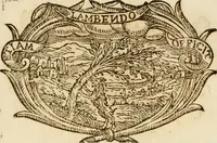 Picture 403 of 428 from Imprese dell' Offitioso, accademico intronato (1628), leaf 498