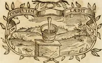 Picture 413 of 428 from Imprese dell' Offitioso, accademico intronato (1628), leaf 508