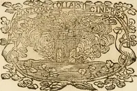 Picture 419 of 428 from Imprese dell' Offitioso, accademico intronato (1628), leaf 514