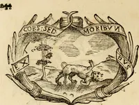 Picture 424 of 428 from Imprese dell' Offitioso, accademico intronato (1628), leaf 519