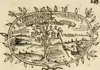 An illustration from Imprese dell' Offitioso, accademico intronato (1628)
