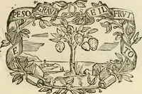 Picture 17 of 428 from Imprese dell' Offitioso, accademico intronato (1628), leaf 90