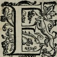 An illustration from Imprese illustri di diuersi : co i discorsi (1586)