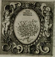 An illustration from Imprese illustri di diuersi : co i discorsi (1586)