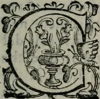 An illustration from Imprese illustri di diuersi : co i discorsi (1586)