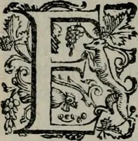 An illustration from Imprese illustri di diuersi : co i discorsi (1586)