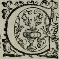 An illustration from Imprese illustri di diuersi : co i discorsi (1586)